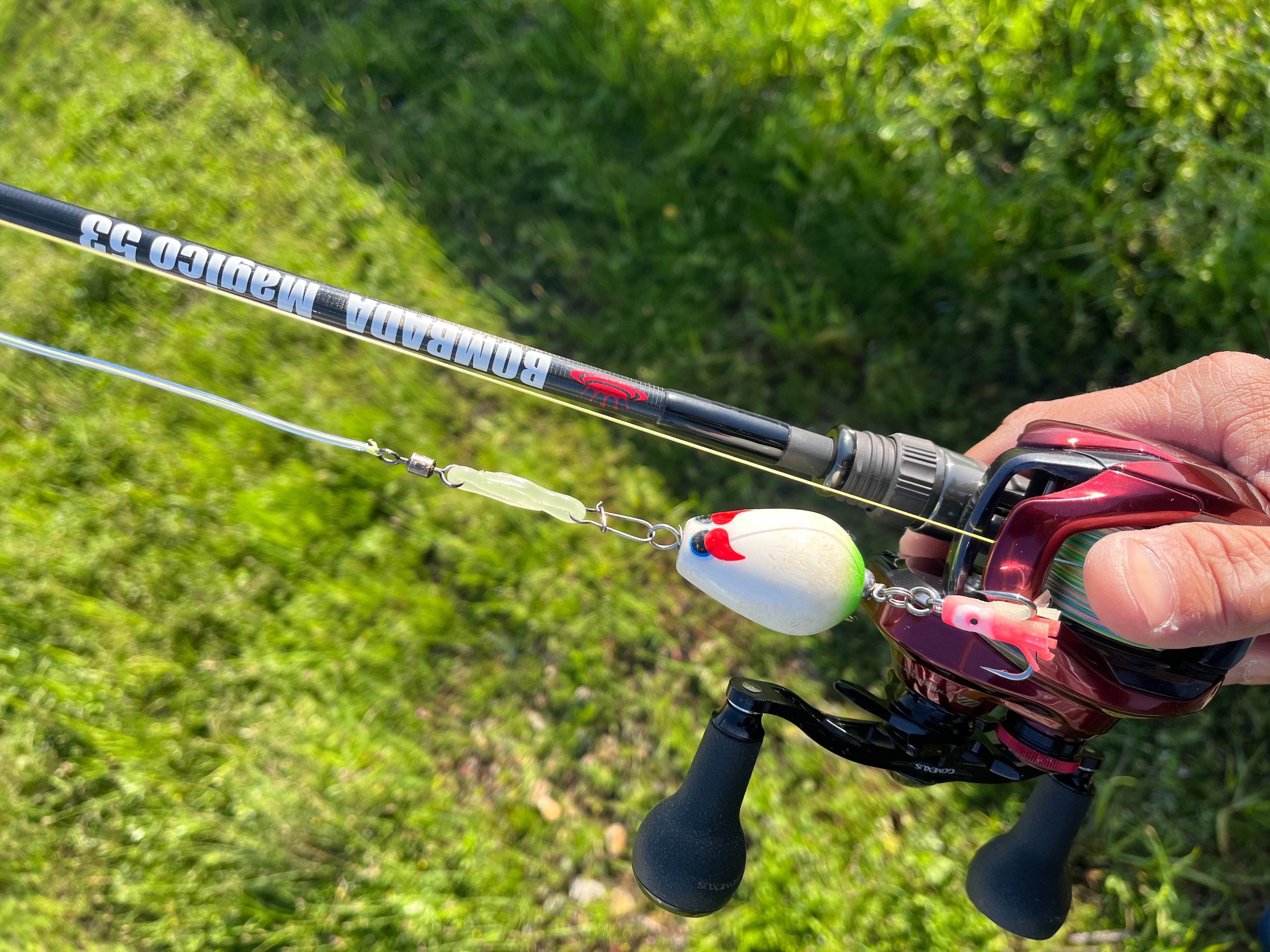 ナマズ釣り ボンバダショートロッド購入で釣りの楽しさ倍増🎵 - なまず