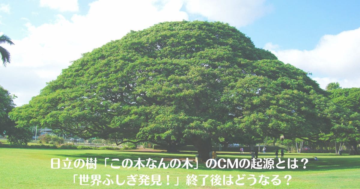 日立の樹「この木なんの木」のCMの起源とは？「世界ふしぎ発見！」終了