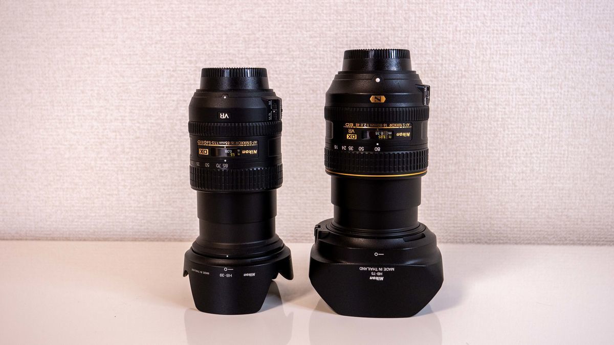 作例あり」Nikonのレンズ AF-S DX NIKKOR 16-80mm F2.8-4E ED VRを購入