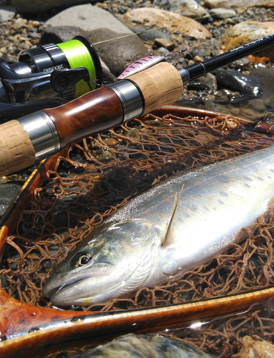 天龍レイズRZ772S-MLインプレ - 長良とっしーの釣りブログ