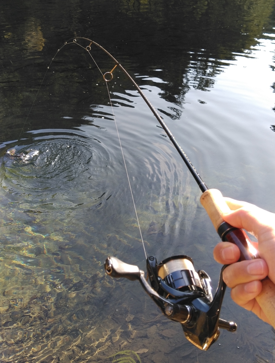 21カーディフAX S62SULインプレと管釣りエリアトラウトタックル紹介