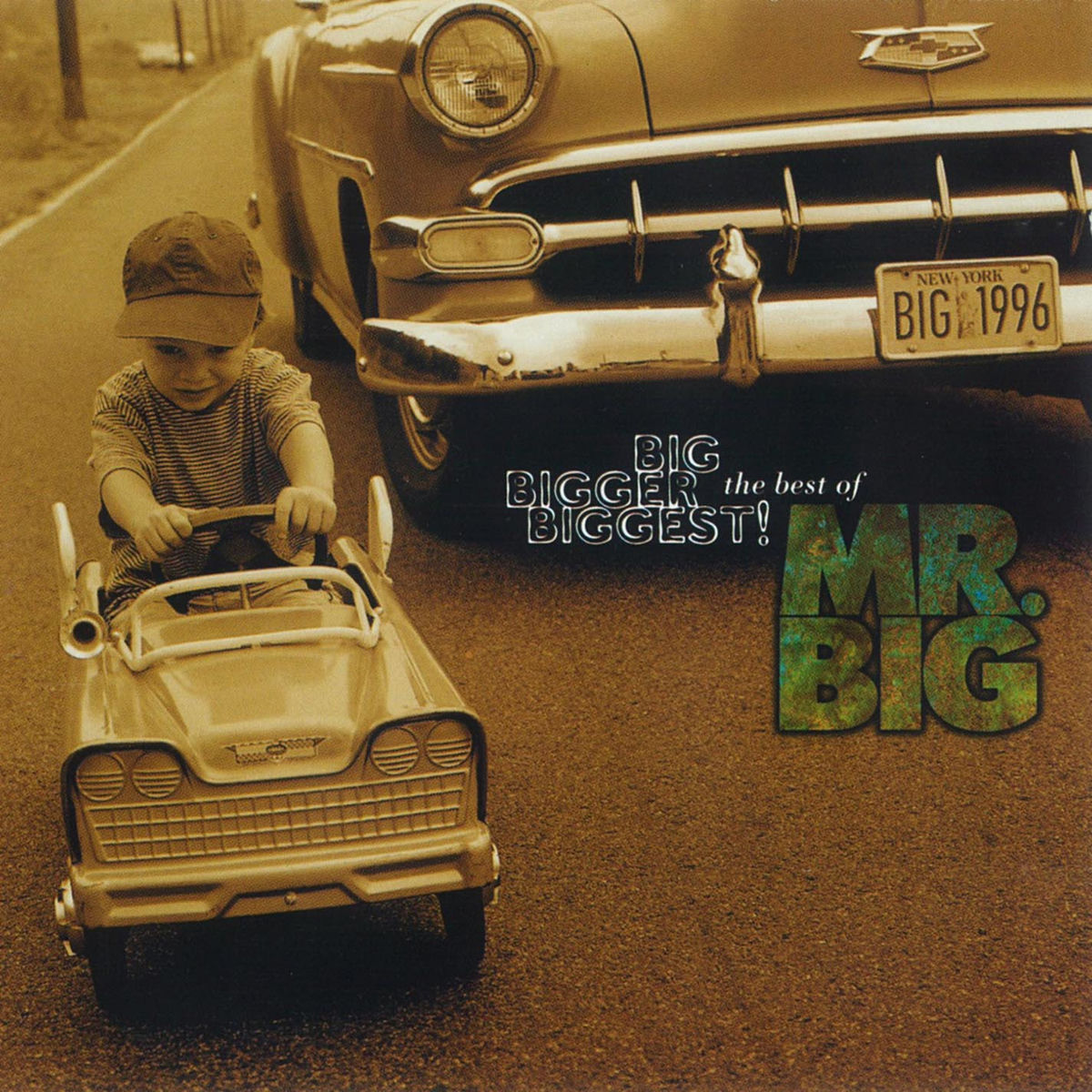 Mr. Big - Wild World | Deezer