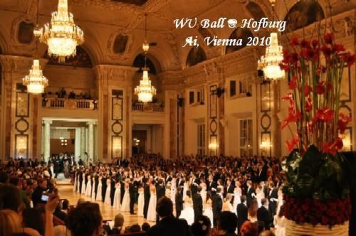 ウィーン経済大学舞踏会＠王宮 2010』ウィーン(オーストリア)の旅行記