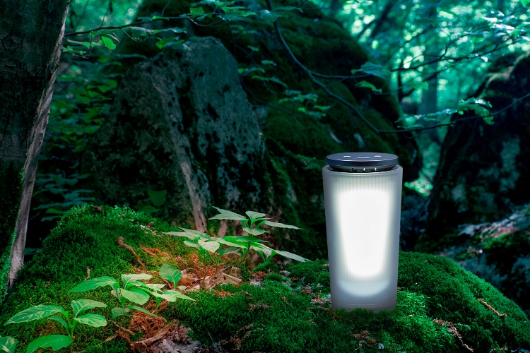 BRAIN SLEEP CLOCK – cado