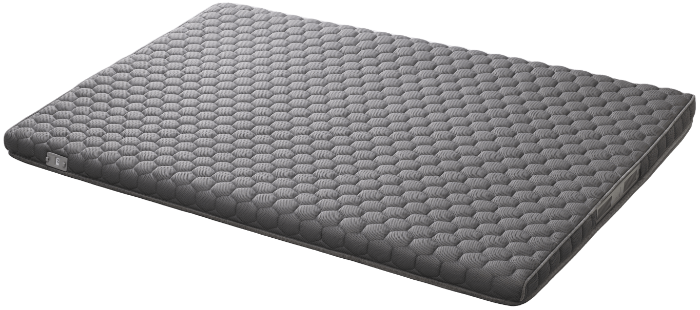 FOEHN GRASS – cado