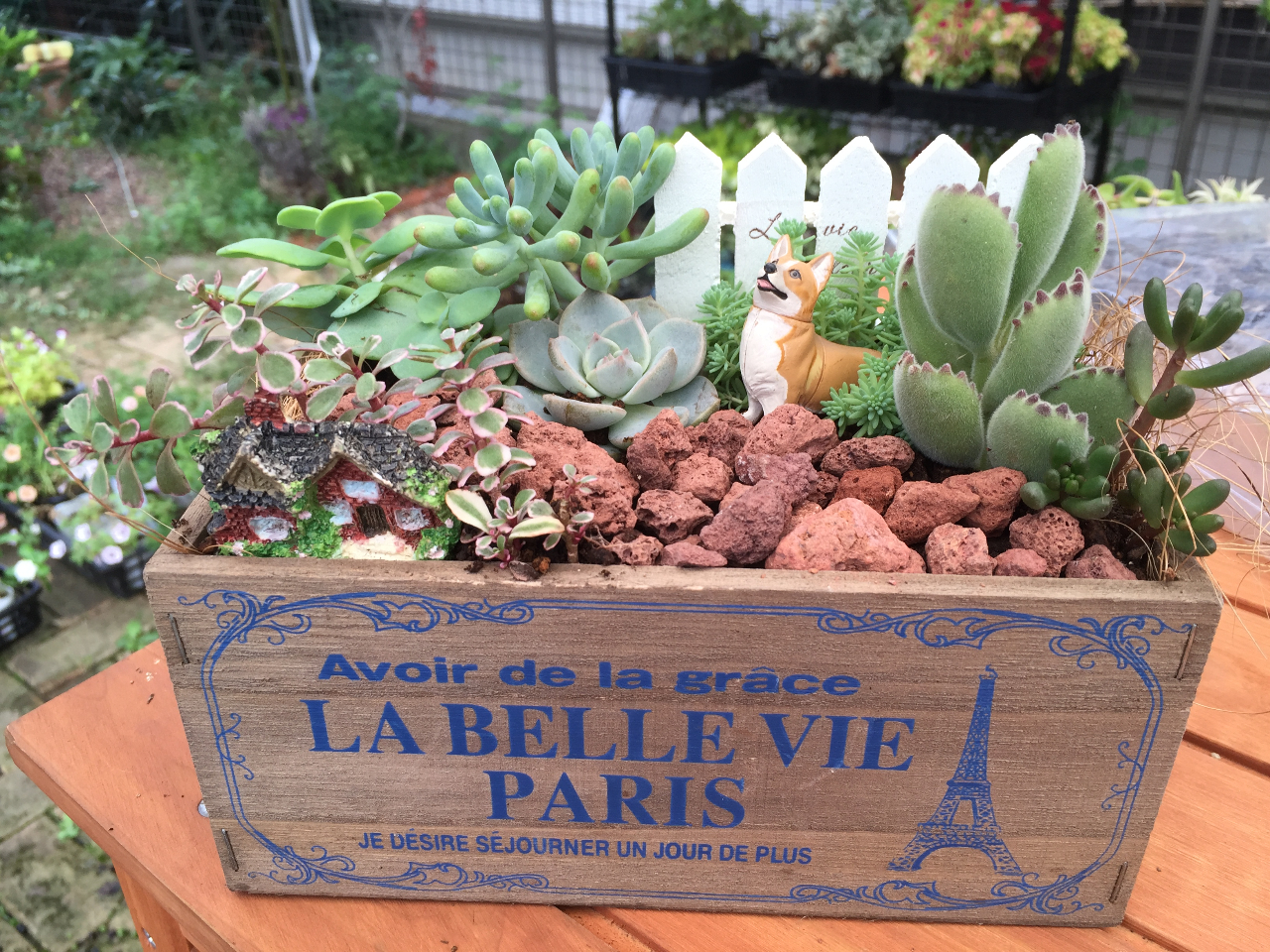 オンライン体験】多肉植物箱庭レッスン/FloraRIE - じゃらん遊び体験