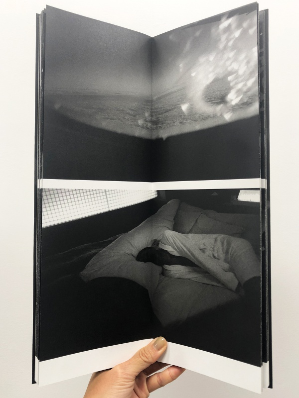 春の運命（特装版）E - 野村佐紀子 | AKIO NAGASAWA