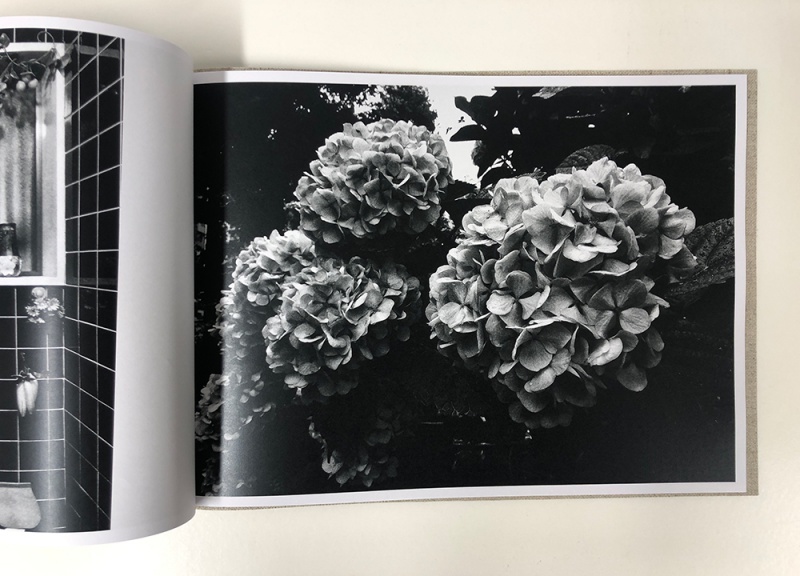 FLOWERS - 森山大道 | AKIO NAGASAWA