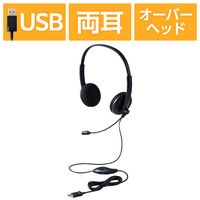 レノボ・ジャパン Lenovo Wireless VoIP ヘッド