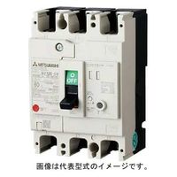 テンパール工業 太陽光発電システム漏電遮断器 GBUー53EC 40A 30MA