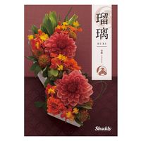 シャディ カタログギフト 瑠璃 杜若 1649125 1冊（直送品） - アスクル