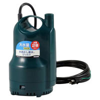 寺田ポンプ製作所 TERADA 汚水用水中ポンプ 非自動 50Hz PG-400 1台