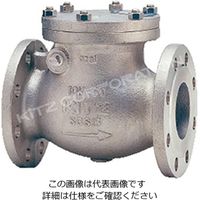 キッツ 10UNAT SCS13A リフトチャッキ弁【フランジ・PTFEガスケット