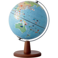 レイメイ藤井 国旗・よみがな付地球儀 20cm 742-793 1個（直送品