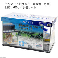コトブキ アクアリスト600S 観賞魚 4972814014145 1セット（直送品