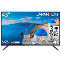 JAPANNEXT 43インチ ワイド 4K液晶モニター JN-V43UHDR-U-H2 1台（直送