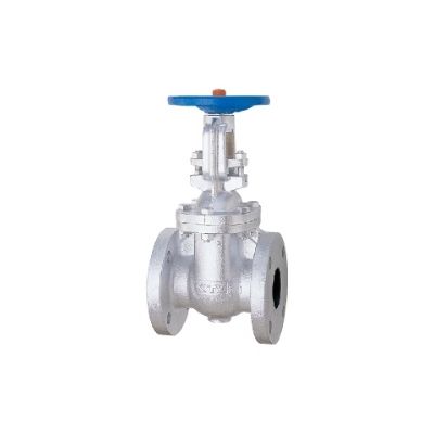 キッツ 鋳鉄製JIS規格ゲートバルブ10K 2 10FCLU-50A 1個（直送品