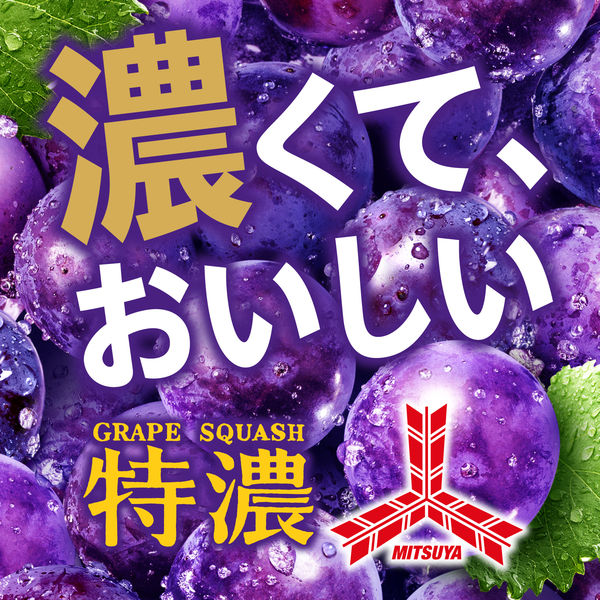 アサヒ飲料 三ツ矢特濃グレープスカッシュ 500ml 1箱（24本入） - アスクル