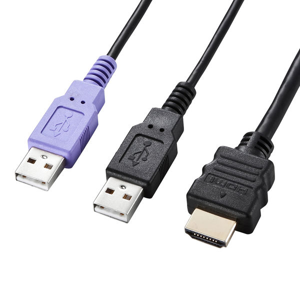 サンワサプライ HDMI対応手元スイッチ付きパソコン自動切替器(2:1) SW