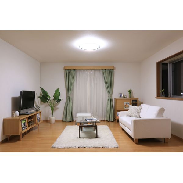 アイリスオーヤマ LEDシーリングライト 14畳用 調光 4000lm CL14D-5.0
