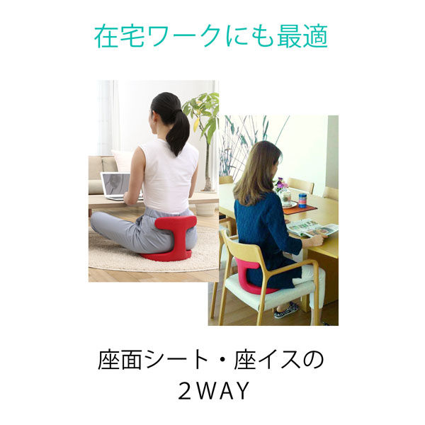 アーユル・チェアージャパン アーユル メディカルシート ブラウン