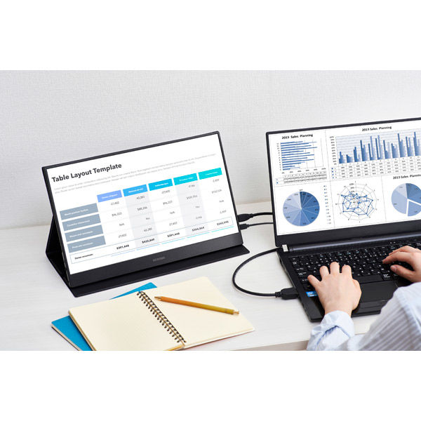 アイリスオーヤマ ポータブルモニター ILD-A16262KS-B 1台（直送品