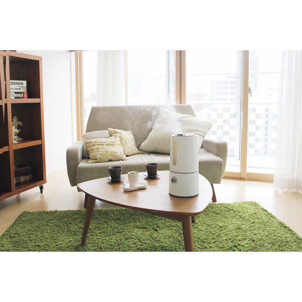 ライフオンプロダクツ プリズメイト アロマ超音波式加湿器 Ms.ミスト