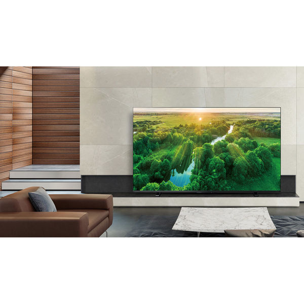 TVS REGZA 4K液晶レグザ Z570L series 50Z570L 1台（直送品） - アスクル