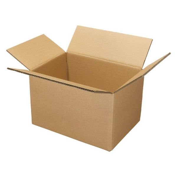 ジョインテックス Wフルートダンボール箱 大10枚 B239J-L 1パック