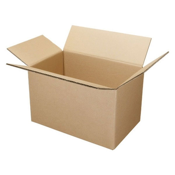 ジョインテックス Wフルートダンボール箱大大10枚 B240J-LL 1パック