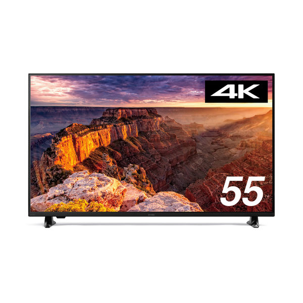 アイリスオーヤマ 大型ディスプレイ 55V型 DO-DU554S-B 1台（直送品