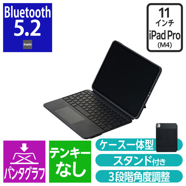 iPad専用ケース付き キーボード 11インチ iPad Pro (M4)用 着脱可能 黒