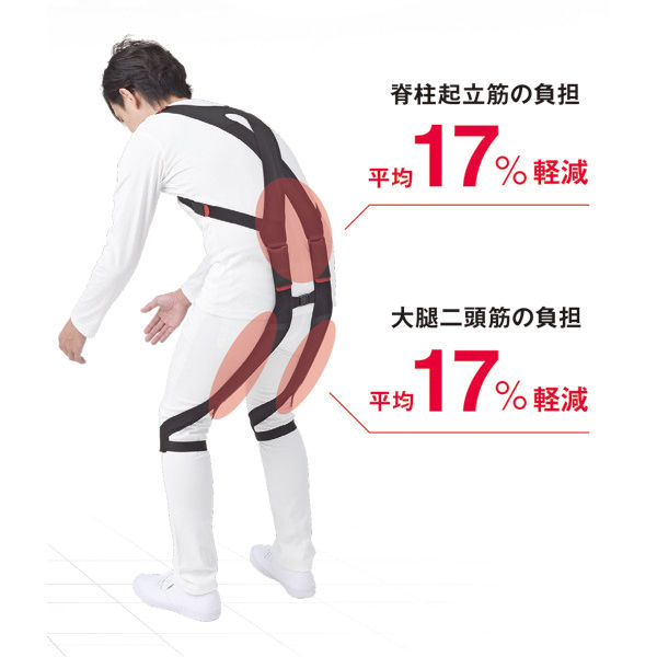 モリタホールディングス 腰部サポートウェア rakunie ラクニエ L 1個