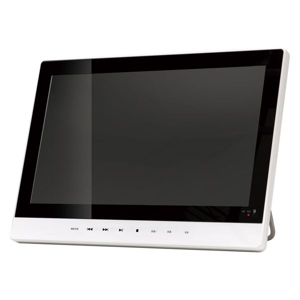 TEES 防水11.1型ポータブルDVDプレーヤー PD-M111-WH 1台（直送品