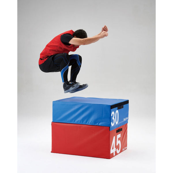 淡野製作所 ソフトプライオボックス30 D7022 1個（直送品） - アスクル