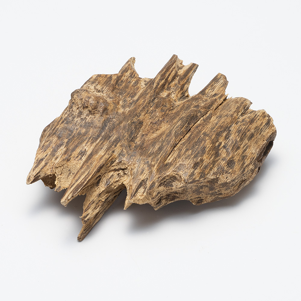 プレミアム沈香(じんこう) 原木姿物 沈水 「沈梗」 極上シャム沈香