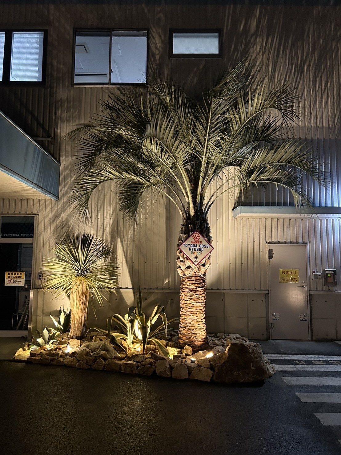 ココスヤシ専門販売店 DRYGARDEN Nico 福岡県久留米市田主丸町豊城1398-5