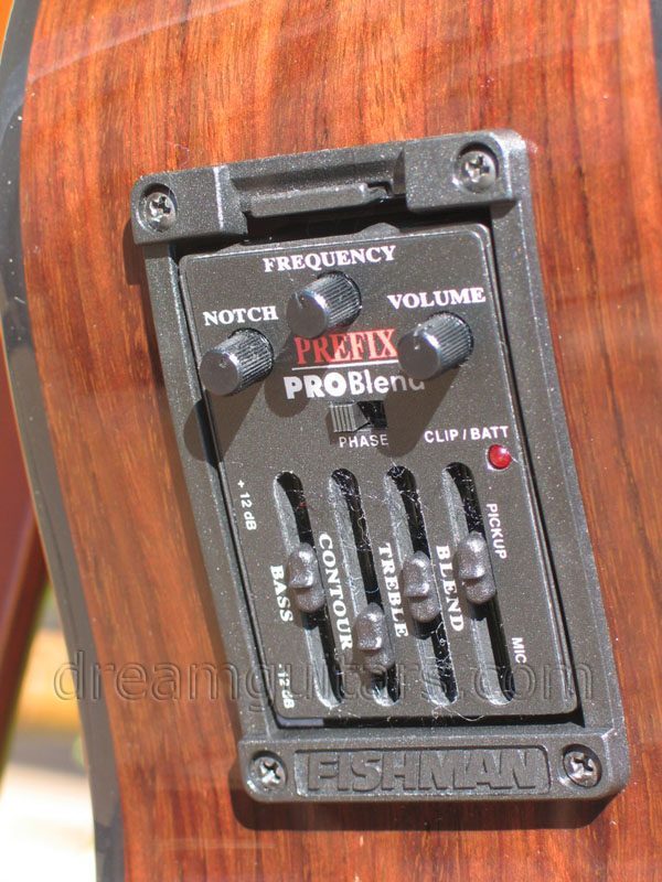 2005 Breedlove Bosa Nova Indian/Red Cedar - Dream Guitars