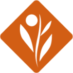 C−クエンスミニセット | environ.jp