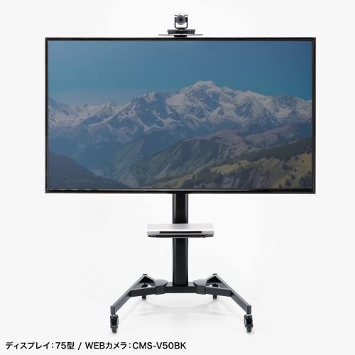 テレビスタンド｜キャスター付き・高さ調整・角度調整・65/75インチ対応