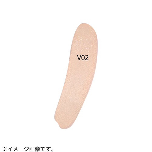 ヴィ・ディー・エル（VDL） カバーステイン パーフェクティング