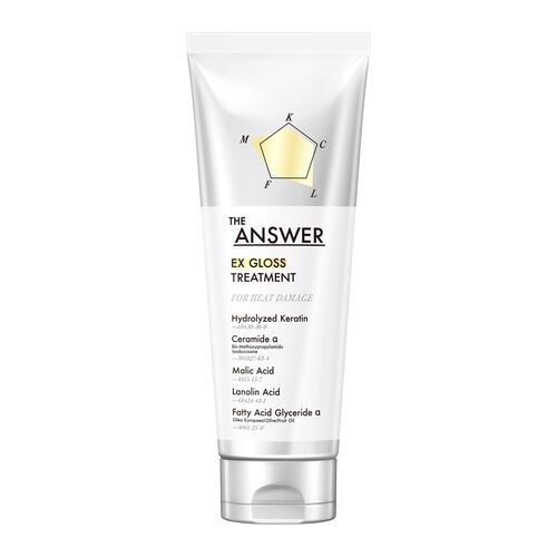 花王 ジ・アンサー（THE ANSWER） グロストリートメント 220g