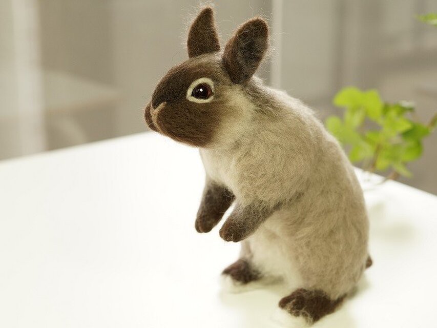 うさぎ・サイアミーズセーブル | iichi 日々の暮らしを心地よくする