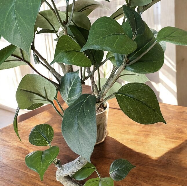 光触媒 人工観葉植物 ウォールグリーン フェイクグリーン ガジュマル