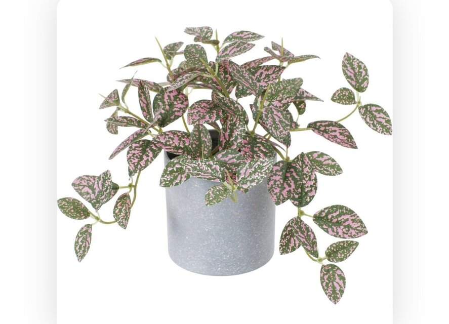 光触媒 人工観葉植物 ウォールグリーン フェイクグリーン トラディスと