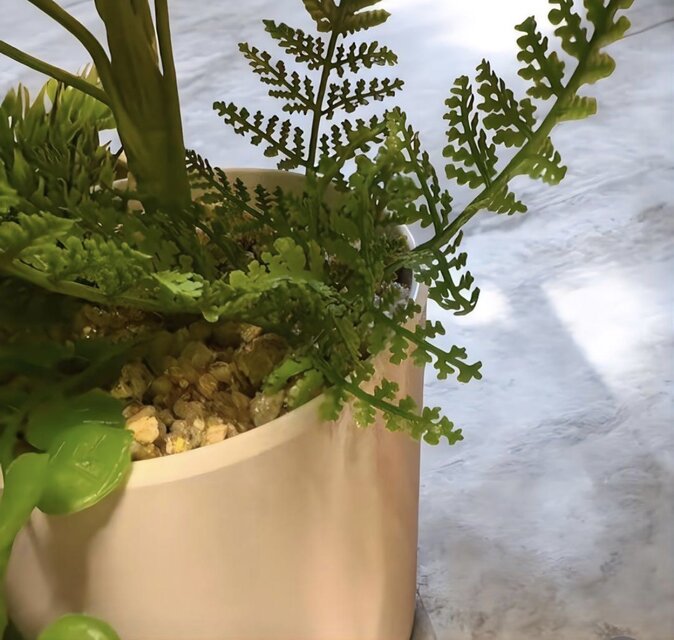 光触媒 人工観葉植物 ウォールグリーン フェイクグリーン モンステラ