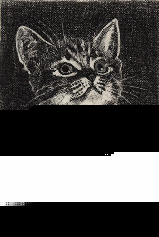 見上げる子猫 ・ A/ 銅版画 (額なし） | iichi 日々の暮らしを心地よく