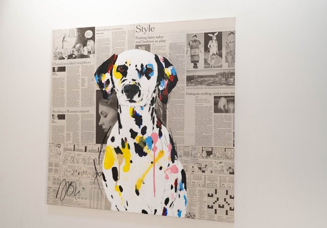 Dalmatian / ダルメシアン | iichi 日々の暮らしを心地よくする