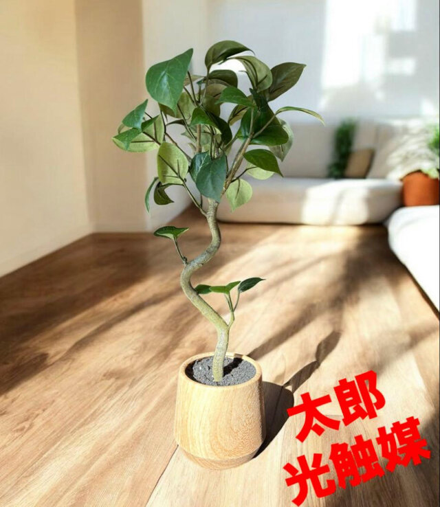 光触媒 人工観葉植物 ウォールグリーン フェイクグリーン ガジュマル
