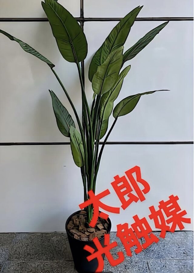 光触媒 人工観葉植物 フェイクグリーン オーガスタ ストレッチア160@m